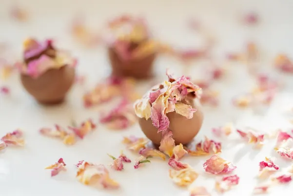 Casino Haiti Win Android/iOS rakendus